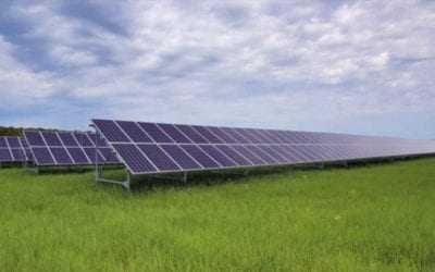 Oasis Agro Seeds (Pvt) Ltd