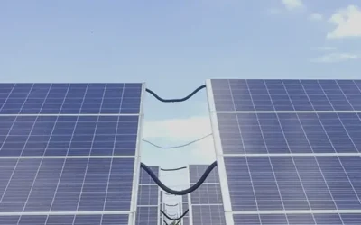 St. Thomas’ College – Mount Lavinia